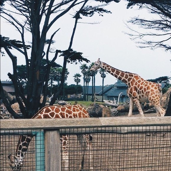 Meet your Posher, Lisbeth - Picture 1 of 1